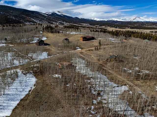 2346 High Creek Rd, Fairplay, CO 80440 - photo 44