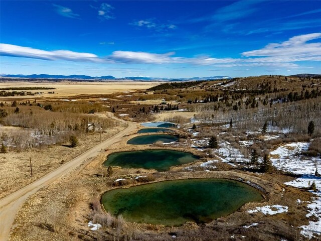 2346 High Creek Rd, Fairplay, CO 80440 - photo 46
