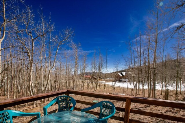 2346 High Creek Rd, Fairplay, CO 80440 - photo 19
