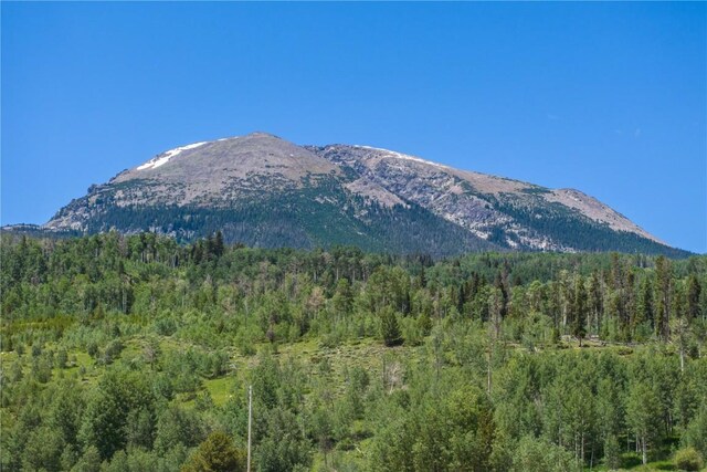 185 Lusher Ct Unit 205, Frisco, CO 80443 - property view of mountains featuring a wooded view