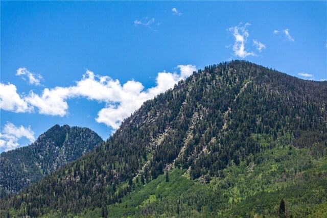 185 Lusher Ct Unit 205, Frisco, CO 80443 - property view of mountains with a view of trees