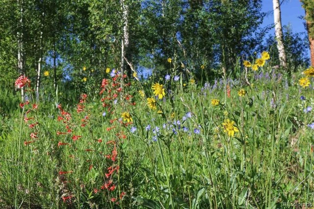 1800 Triple Creek Ranch Rd, Silverthorne, CO 80498 - photo 33