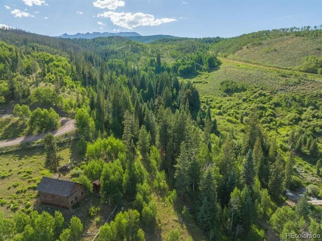 1800 Triple Creek Ranch Rd, Silverthorne, CO 80498 - photo 10