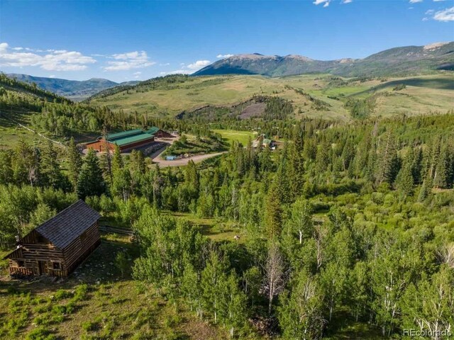 1800 Triple Creek Ranch Rd, Silverthorne, CO 80498 - photo 48