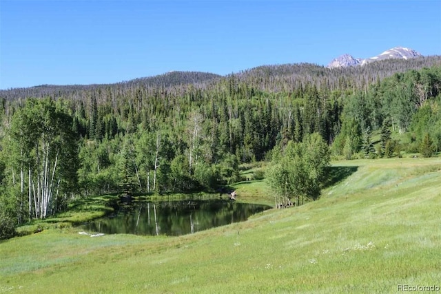 1800 Triple Creek Ranch Rd, Silverthorne, CO 80498 - photo 26