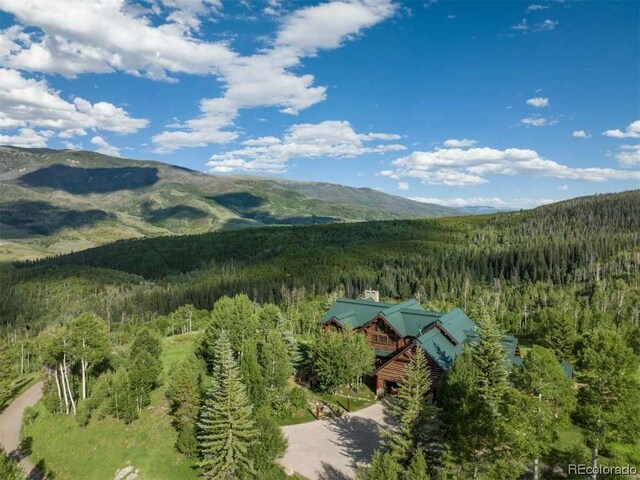 1800 Triple Creek Ranch Rd, Silverthorne, CO 80498 - photo 16
