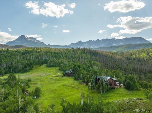 1800 Triple Creek Ranch Rd, Silverthorne, CO 80498 - photo 3