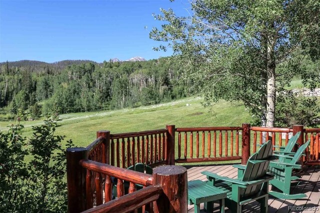 1800 Triple Creek Ranch Rd, Silverthorne, CO 80498 - photo 20