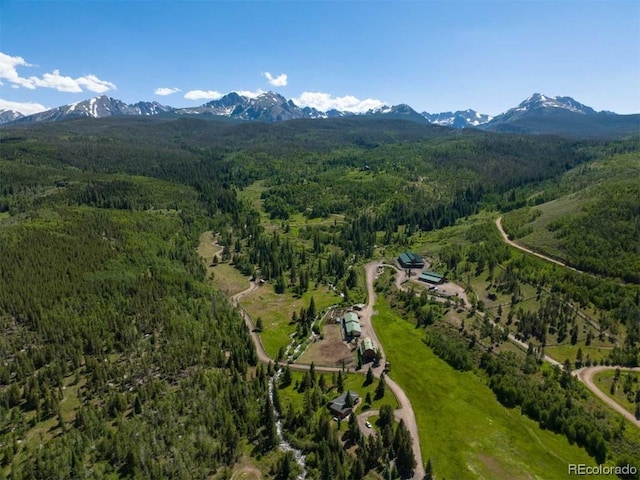1800 Triple Creek Ranch Rd, Silverthorne, CO 80498 - photo 18