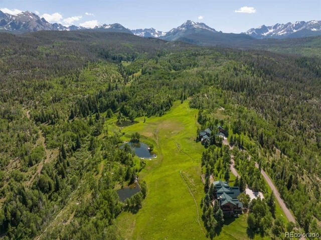 1800 Triple Creek Ranch Rd, Silverthorne, CO 80498 - photo 1
