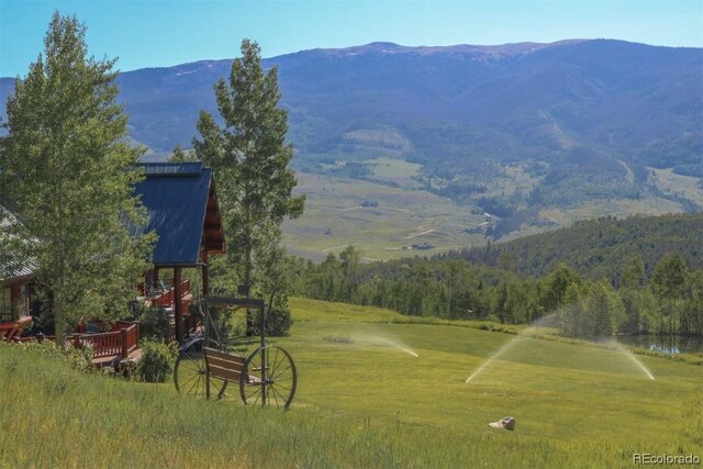 1800 Triple Creek Ranch Rd, Silverthorne, CO 80498 - photo 50