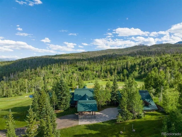 1800 Triple Creek Ranch Rd, Silverthorne, CO 80498 - photo 49