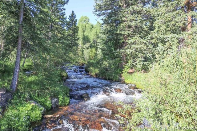 1800 Triple Creek Ranch Rd, Silverthorne, CO 80498 - photo 29