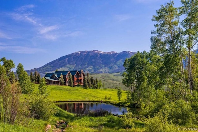 1800 Triple Creek Ranch Rd, Silverthorne, CO 80498 - photo 2