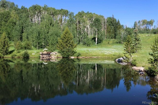 1800 Triple Creek Ranch Rd, Silverthorne, CO 80498 - photo 6