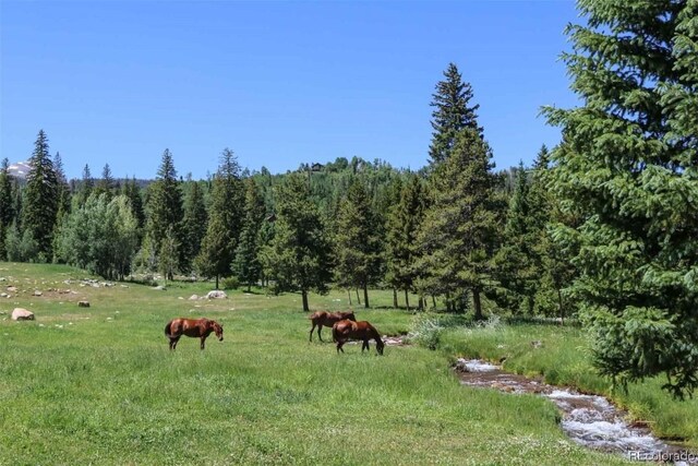 1800 Triple Creek Ranch Rd, Silverthorne, CO 80498 - photo 25