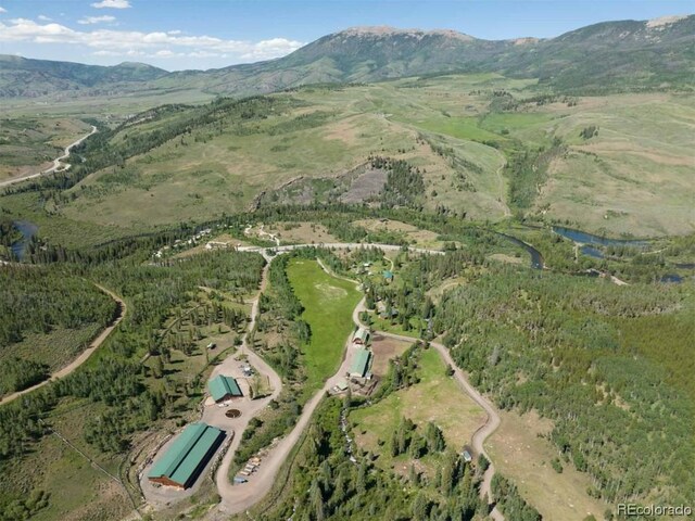 1800 Triple Creek Ranch Rd, Silverthorne, CO 80498 - photo 19
