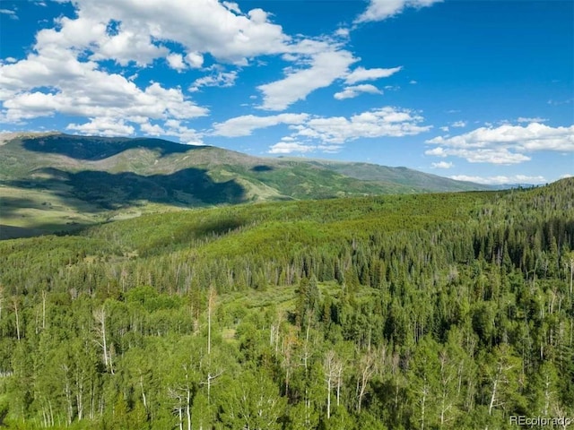 1800 Triple Creek Ranch Rd, Silverthorne, CO 80498 - photo 15