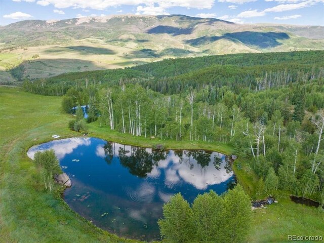 1800 Triple Creek Ranch Rd, Silverthorne, CO 80498 - photo 5