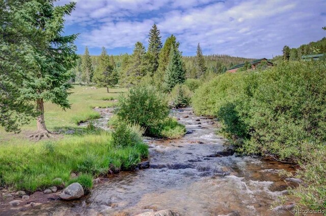 1800 Triple Creek Ranch Rd, Silverthorne, CO 80498 - photo 9