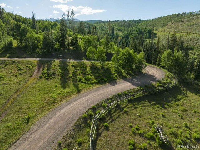 1800 Triple Creek Ranch Rd, Silverthorne, CO 80498 - photo 12
