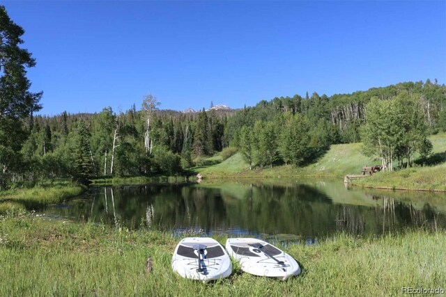 1800 Triple Creek Ranch Rd, Silverthorne, CO 80498 - photo 27