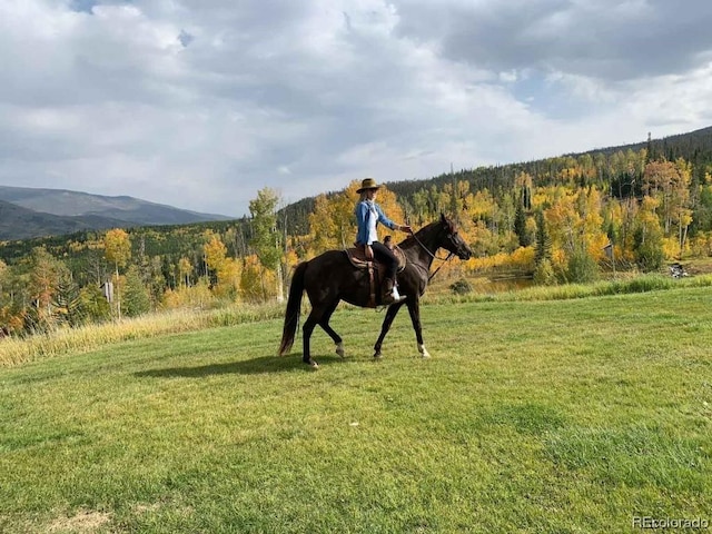 1800 Triple Creek Ranch Rd, Silverthorne, CO 80498 - photo 32