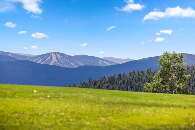 413 W La Bonte St Unit 102, Dillon, CO 80435 - photo 34