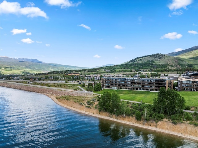 413 W La Bonte St Unit 102, Dillon, CO 80435 - photo 4