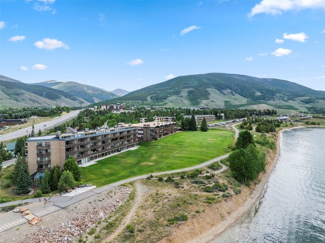 413 W La Bonte St Unit 102, Dillon, CO 80435 - photo 3