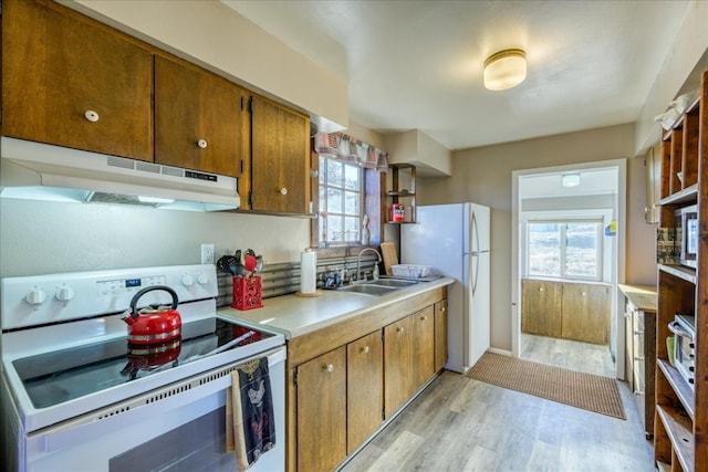 kitchen featuring under cabinet range hood, light countertops, a sink, white appliances, and light wood-style floors