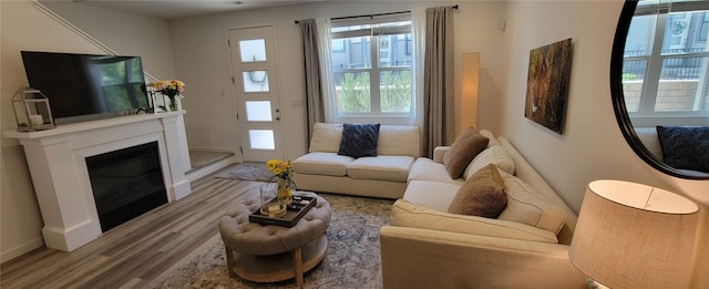 9279 Merino Ct # B, Littleton, CO 80125 - living room with wood finished floors and a glass covered fireplace