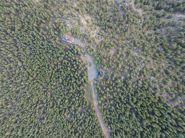 1000 Rangeview Ct, Black Hawk, CO 80422 - photo 7