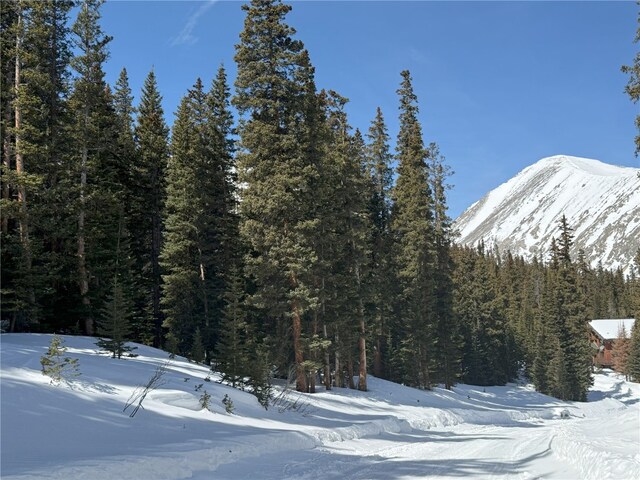 781 Kimmes Ln, Breckenridge, CO 80424