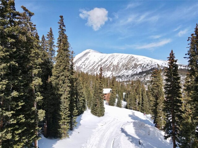 781 Kimmes Ln, Breckenridge, CO 80424