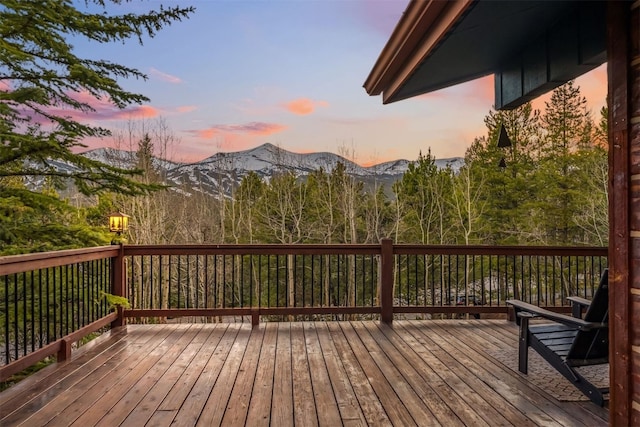 216 N Gold Flake Ter, Breckenridge, CO 80424 - photo 32