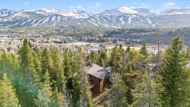216 N Gold Flake Ter, Breckenridge, CO 80424 - photo 42