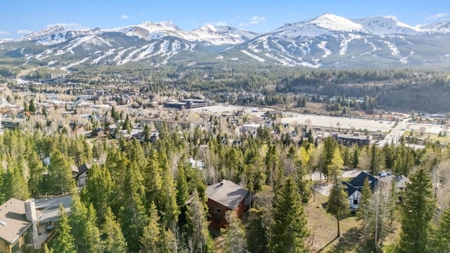 216 N Gold Flake Ter, Breckenridge, CO 80424 - photo 44