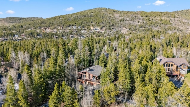 216 N Gold Flake Ter, Breckenridge, CO 80424 - photo 43