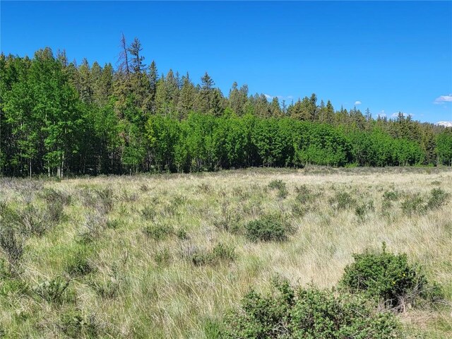 293 W Longbow Dr, Como, CO 80432