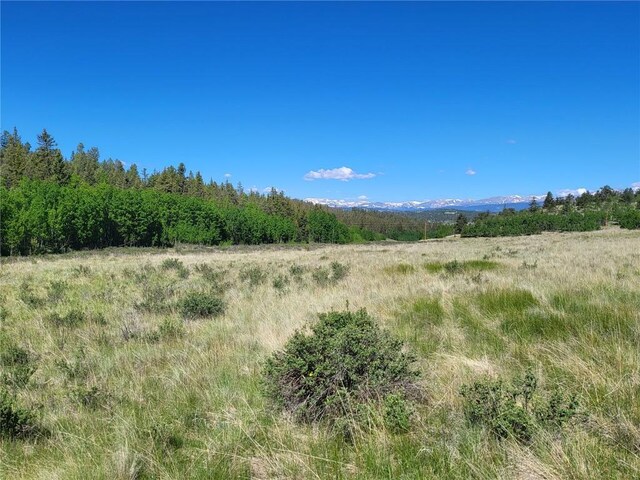 293 W Longbow Dr, Como, CO 80432