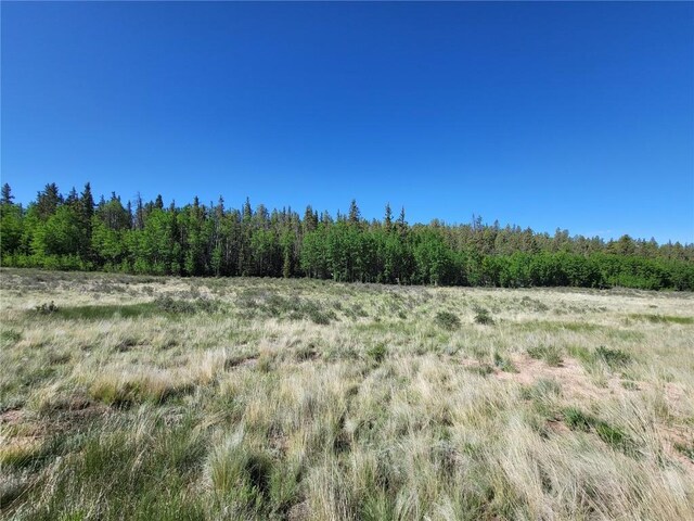 293 W Longbow Dr, Como, CO 80432