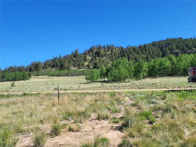 293 W Longbow Dr, Como, CO 80432