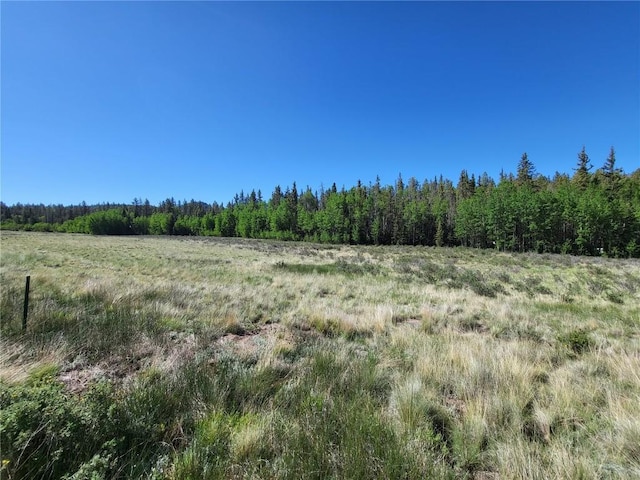293 W Longbow Dr, Como, CO 80432