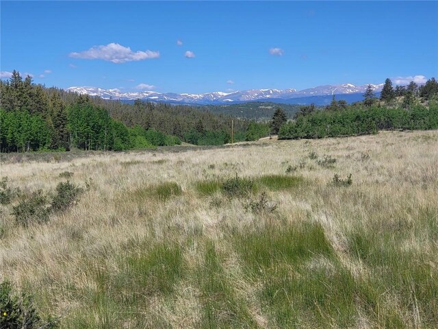 293 W Longbow Dr, Como, CO 80432