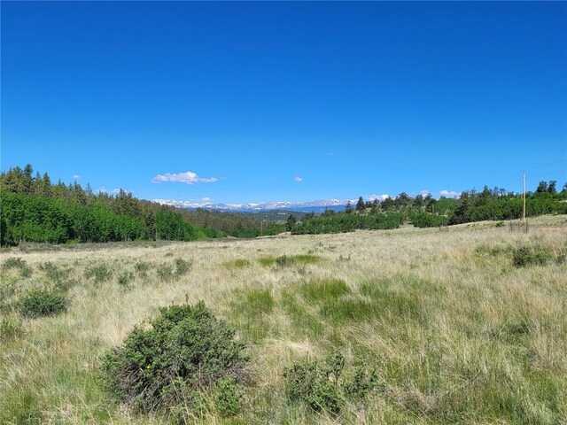 293 W Longbow Dr, Como, CO 80432