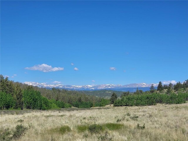 293 W Longbow Dr, Como, CO 80432
