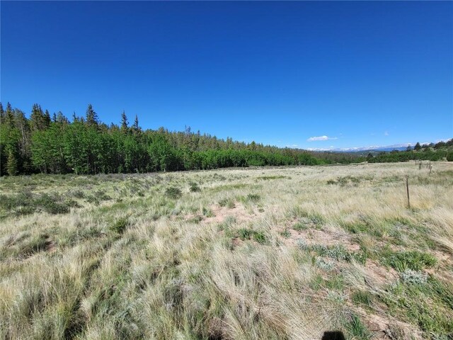 293 W Longbow Dr, Como, CO 80432