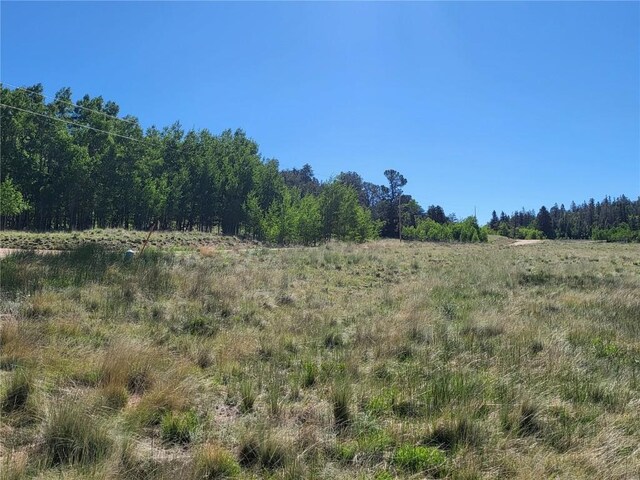 293 W Longbow Dr, Como, CO 80432