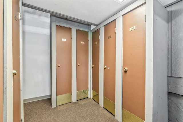 mudroom with carpet floors